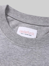 GEO Standard T
