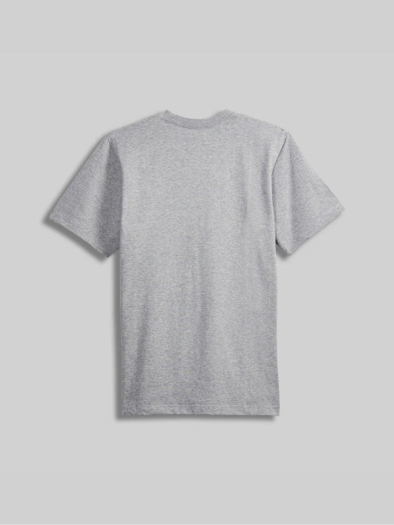 GEO Standard T