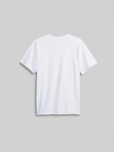 GEO Standard T