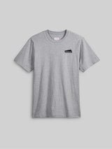 GEO Standard T