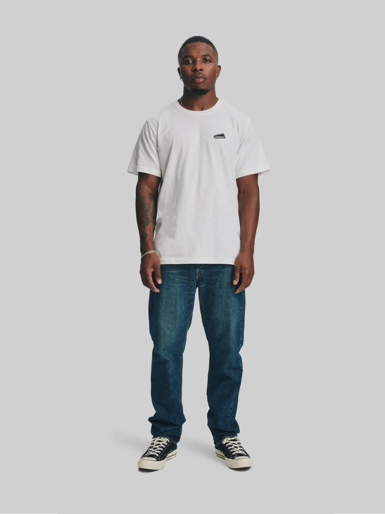 GEO Standard T