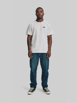 GEO Standard T